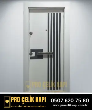 Foça Çelik Kapı - Plus 3